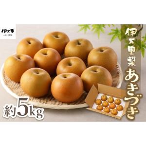 ふるさと納税 【令和8年産先行予約】伊万里梨「あきづき」 約5kg 178-B940 佐賀県伊万里市