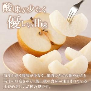 ふるさと納税 【令和8年産先行予約】伊万里梨「...の詳細画像2