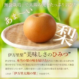 ふるさと納税 【令和8年産先行予約】伊万里梨「...の詳細画像3