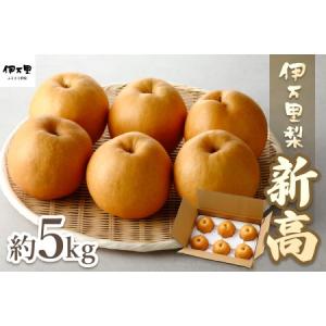 ふるさと納税 【令和8年産先行予約】伊万里梨「新高」 5kg 大型種 178-B942 佐賀県伊万里市
