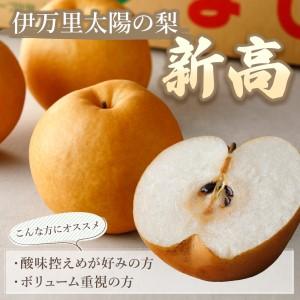 ふるさと納税 【令和8年産先行予約】伊万里梨「...の詳細画像1