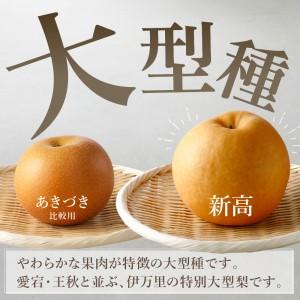 ふるさと納税 【令和8年産先行予約】伊万里梨「...の詳細画像2