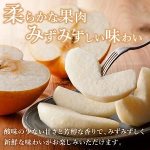 ふるさと納税 【令和8年産先行予約】伊万里梨「...の詳細画像3