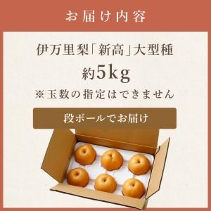 ふるさと納税 【令和8年産先行予約】伊万里梨「...の詳細画像4