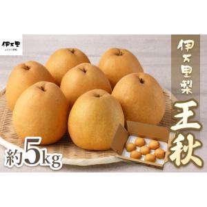 ふるさと納税 【令和8年産先行予約】伊万里梨「王秋」 約5kg 178-B943 佐賀県伊万里市