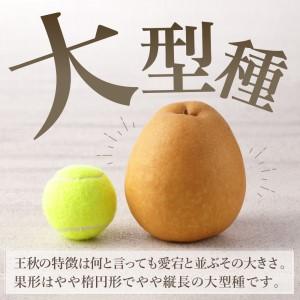 ふるさと納税 【令和8年産先行予約】伊万里梨「...の詳細画像2