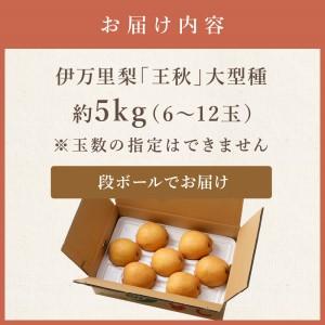 ふるさと納税 【令和8年産先行予約】伊万里梨「...の詳細画像4