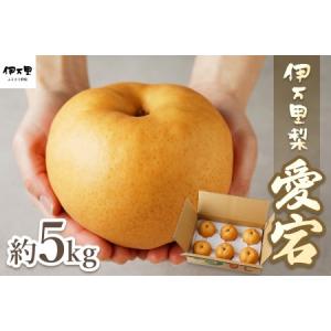 ふるさと納税 【令和8年産先行予約】伊万里梨 「愛宕」 約5kg 大型種 178-B944 佐賀県伊万里市