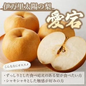 ふるさと納税 【令和8年産先行予約】伊万里梨 ...の詳細画像1