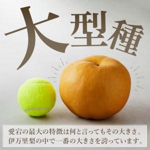 ふるさと納税 【令和8年産先行予約】伊万里梨 ...の詳細画像2