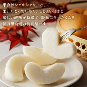 ふるさと納税 【令和8年産先行予約】伊万里梨 ...の詳細画像3