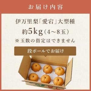 ふるさと納税 【令和8年産先行予約】伊万里梨 ...の詳細画像4