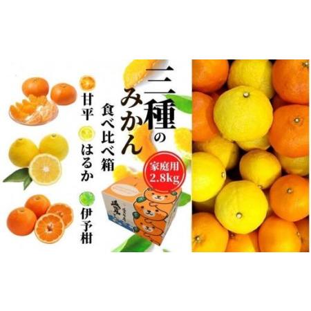 ふるさと納税 【三種のみかん食べ比べ箱】甘平・はるか・宮内伊予柑 （家庭用）約2.8kg　＜2025...