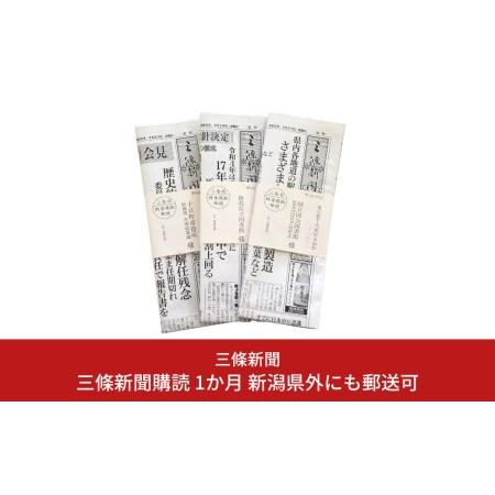 ふるさと納税 三條新聞購読 1か月 新潟県外にも郵送可 [三條新聞] 【011S095】 新潟県三条...