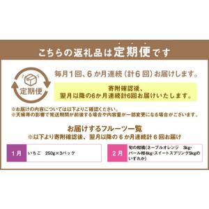 ふるさと納税 【6か月連続定期便】熊本便り!旬...の詳細画像1
