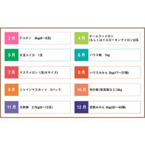 ふるさと納税 【6か月連続定期便】熊本便り!旬...の詳細画像2