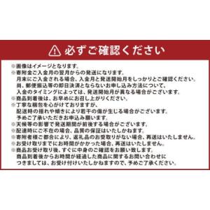 ふるさと納税 【6か月連続定期便】熊本便り!旬...の詳細画像3