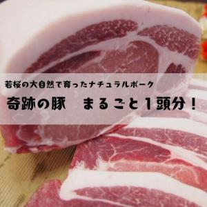 ふるさと納税 奇跡の豚 まるごと1頭分!! I ...の商品画像
