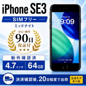 iPhone SE（第1世代） Apple SE 128GB 大容量バッテリー交換済み