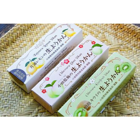 ふるさと納税 【さっぱりとした現代感覚のフルーツ生ようかんセット】（片浦レモン、小田原キウイ、ジンジ...