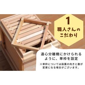 ふるさと納税 西洋ミツバチ用飼育箱 西洋 ミツ...の詳細画像2
