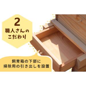 ふるさと納税 西洋ミツバチ用飼育箱 西洋 ミツ...の詳細画像3