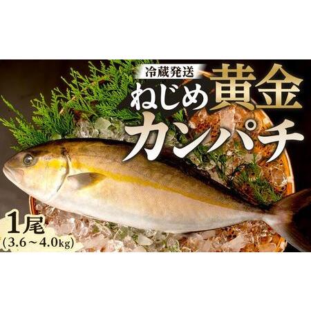 ふるさと納税 【ねじめ黄金カンパチ】１尾 3.6〜4.0kg 着日指定可 | かんぱち 勘八 産地直...