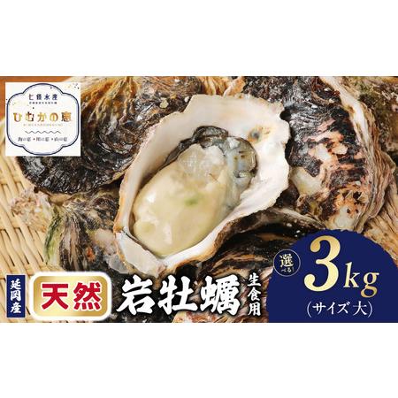 ふるさと納税 延岡産天然岩牡蠣（生食用）3kg（大）（2024年4月1日から発送開始）　N036-Z...