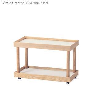 ふるさと納税 旭川家具 コサイン プラント ム...の詳細画像1