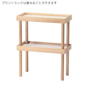 ふるさと納税 旭川家具 コサイン プラント ラ...の詳細画像1