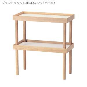 ふるさと納税 旭川家具 コサイン プラント ラ...の詳細画像1