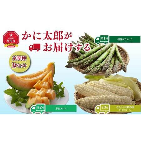 ふるさと納税 令和6年6月発送開始 かに太郎定期便Bセット（アスパラ、赤肉メロン、白くまコーン）_0...