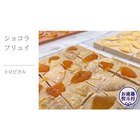 ふるさと納税 【お歳暮熨斗付】ショコラフリュイ トロピカル チョコレート チョコ スイーツ デザート...