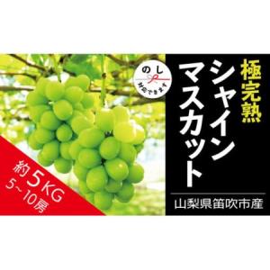 ふるさと納税 【2026年発送☆先行予約】☆絶品☆ シャインマスカット 5