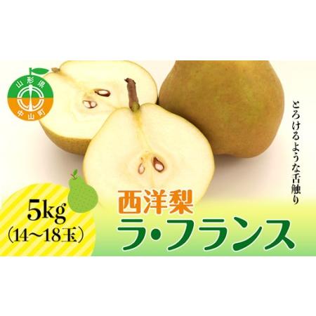 ふるさと納税 【2026年先行予約】山形県産 西洋梨 ラ・フランス 5kg(14〜18玉) 期間限定...