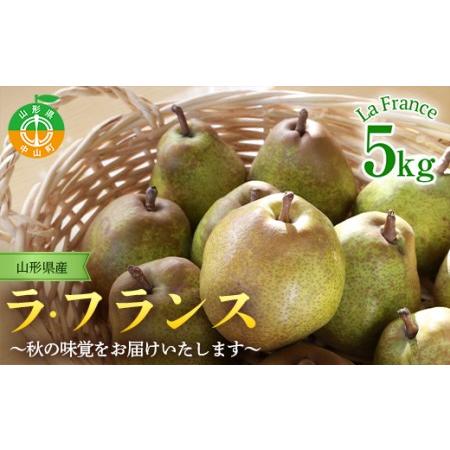 ふるさと納税 山形県産ラ・フランス 特秀5kg（13〜18玉）11月上旬から発送開始 果物 くだもの...