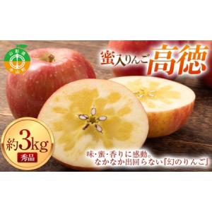 ふるさと納税 《令和8年産先行受付》山形県中山町産蜜入りんご高徳・こうとく【秀品】約3kg リンゴ 林檎 山形県産 フルーツ 果物 くだもの F4A-0.. 山形県中山町