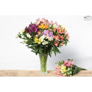 ふるさと納税 定期便6回便 切り花 アルストロ...の詳細画像2