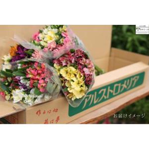 ふるさと納税 定期便6回便 切り花 アルストロ...の詳細画像4