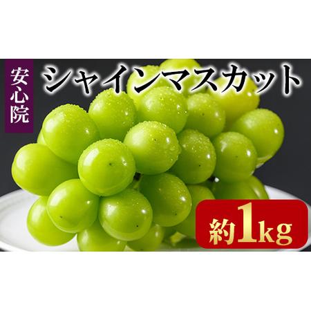 ふるさと納税 シャインマスカット(約1kg)フルーツ 果物 葡萄 ぶどう 安心院 人気 ランキング＜...