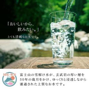ふるさと納税 【最短翌日〜5日営業日以内に発送...の詳細画像1