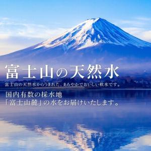 ふるさと納税 【最短翌日〜5日営業日以内に発送...の詳細画像2