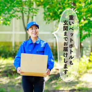 ふるさと納税 【最短翌日〜5日営業日以内に発送...の詳細画像3
