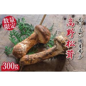 ふるさと納税 先行予約 国産松茸 約300g 数量限定 香り高く希少【和歌山県高野町産】【2024年9月下旬〜11月上旬発送】 和歌山県高野町｜furunavi