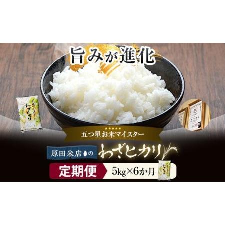 ふるさと納税 【6カ月定期便】わざヒカリ5kg 米 JS-338 鹿児島県薩摩川内市