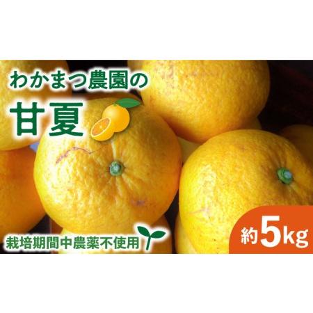 ふるさと納税 【有機栽培】甘夏 5kg 栽培期間中 農薬不使用 糸島市 / わかまつ農園 果物 フル...