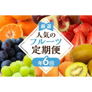ふるさと納税 【定期便/年6回】フルーツ むなか...の商品画像