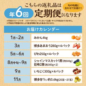 ふるさと納税 【定期便/年6回】フルーツ むな...の詳細画像1