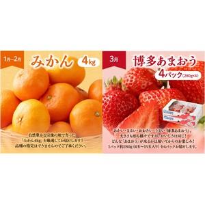 ふるさと納税 【定期便/年6回】フルーツ むな...の詳細画像2