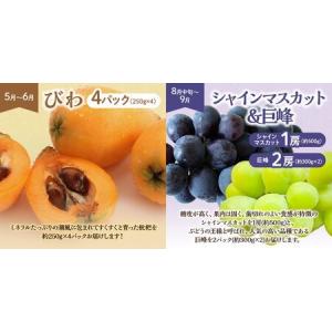 ふるさと納税 【定期便/年6回】フルーツ むな...の詳細画像3